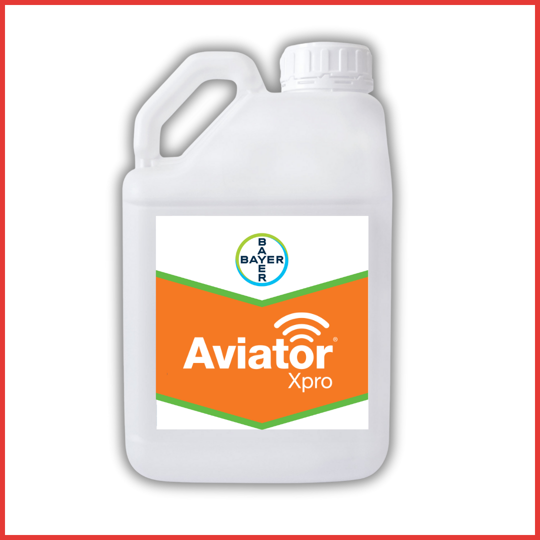 AVIATOR XPRO štiti klas!                                                                                                                                                            . | hibridi, pesticidi, fungicidi, herbicidi, adjuvanti, lepkovi, hemija, sredstva za zaštitu bilja, povoljna hemija, poljoprivredna apoteka, kukuruz, pšenica, suncokret, soja, repica, uljana repica, nabavka hemije, poljoprivreda, alteox, galenika, fuzarijum, rđa, pepelnica, sirak, širokolisni korovi, motika, prskalica, špricanje,