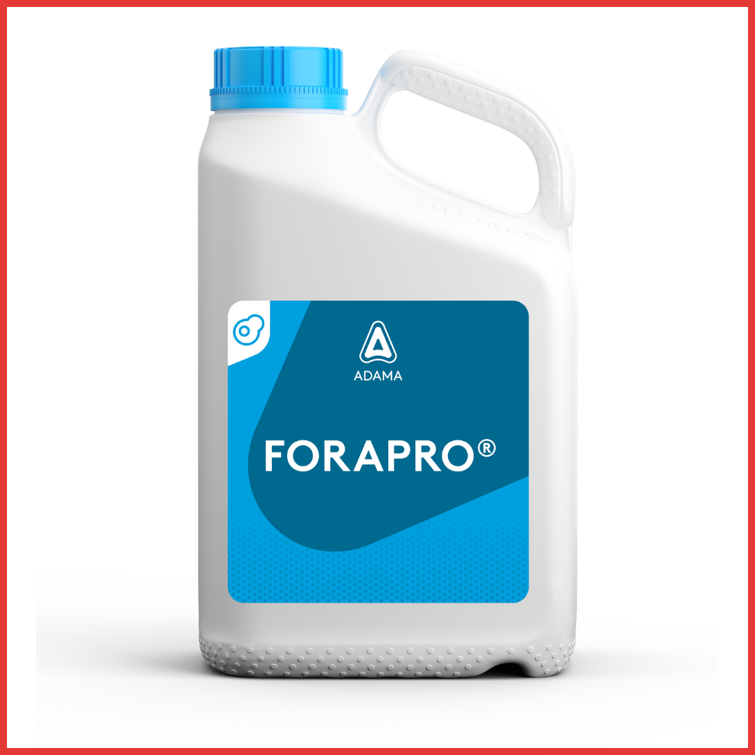 "FORAPRO štiti list!	Fungicid na bazi aktivnih materija protiokonazol i fenpropidin. Namena ovog fungicida je suzbijanje bolesti u usevima strnina (pšenice i ječma) u količini prime. | hibridi, pesticidi, fungicidi, herbicidi, adjuvanti, lepkovi, hemija, sredstva za zaštitu bilja, povoljna hemija, poljoprivredna apoteka, kukuruz, pšenica, suncokret, soja, repica, uljana repica, nabavka hemije, poljoprivreda, alteox, galenika, fuzarijum, rđa, pepelnica, sirak, širokolisni korovi, motika, prskalica, špricanje