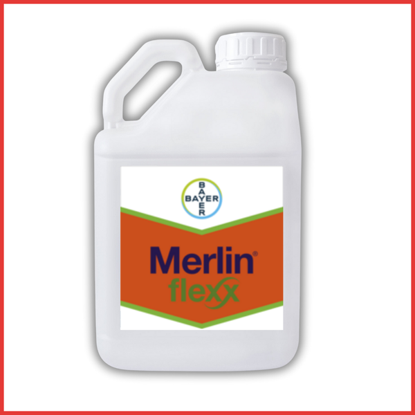 MERLIN DUO FLEXX